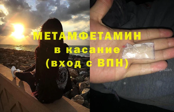 стафф Богданович